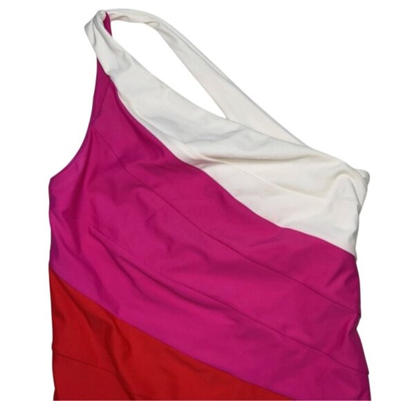 Summersalt Sidestroke Swimsuit One Piece One Shoulder Pink/Red Swim Size 10 - Picture 4 of 8
